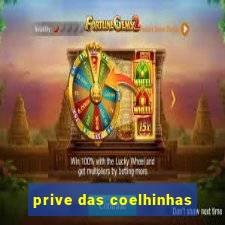 prive das coelhinhas